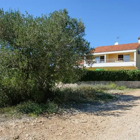 Guest house Anton 3*